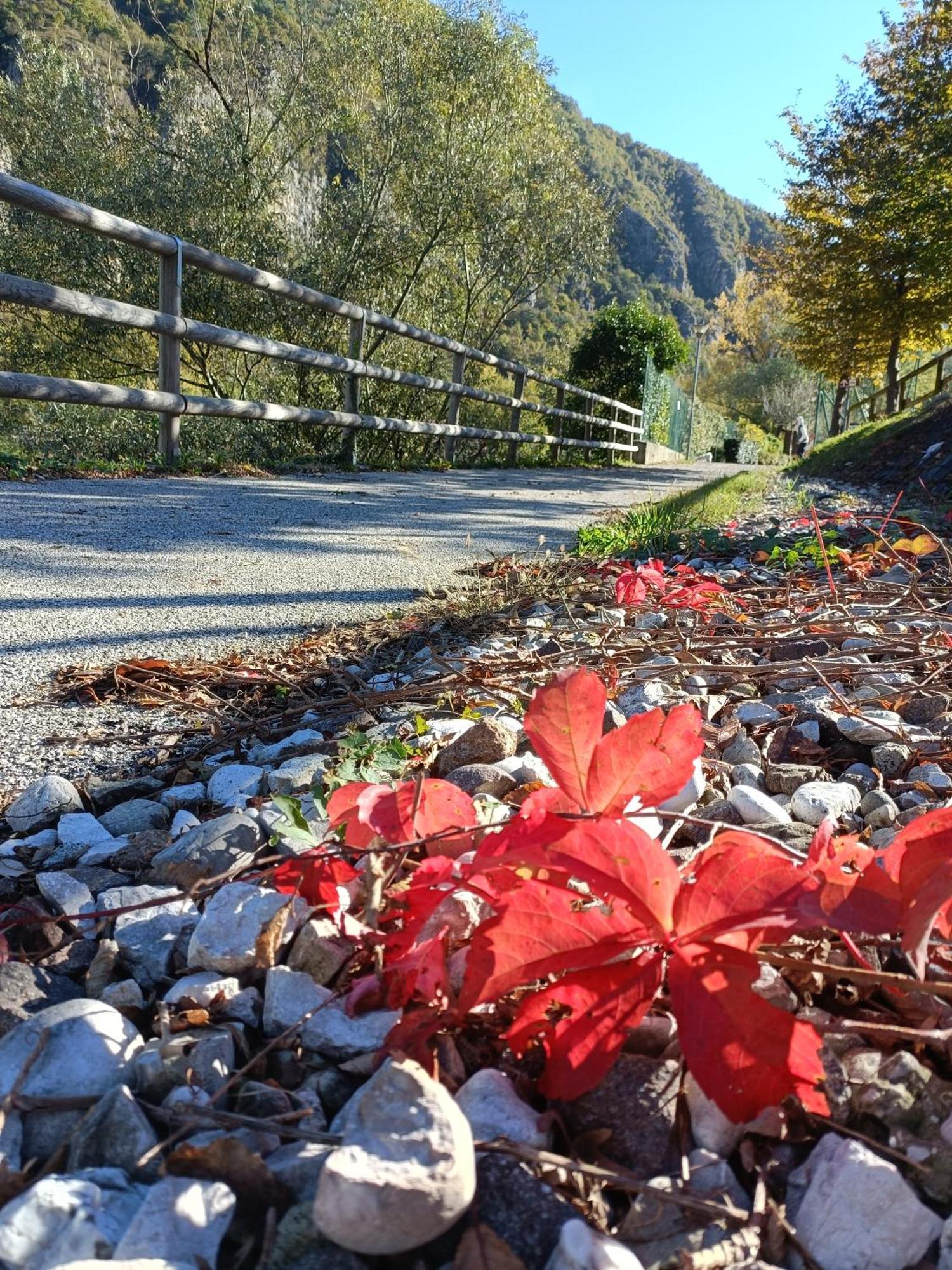 Borgo Lungofiume B&B Valbrenta Luaran gambar